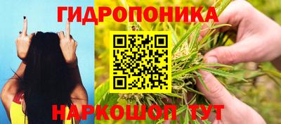 Альфа ПВП Можга