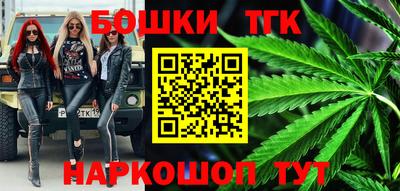 Альфа ПВП Можга