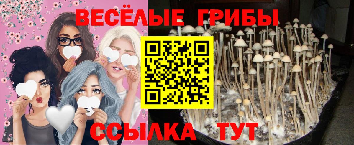 Галлюциногенные грибы Magic Shrooms Серов