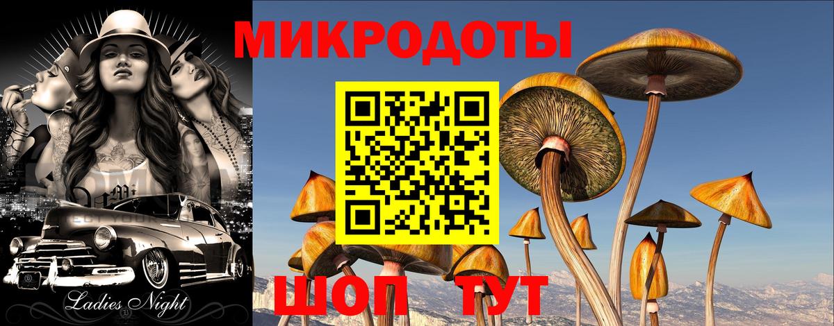 Серов  Галлюциногенные грибы GOLDEN TEACHER  Вход с VPN 
